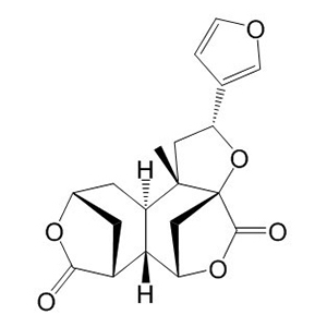 黄独乙素