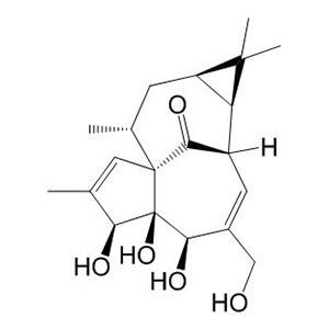 巨大戟醇