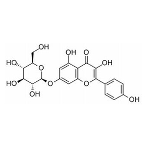 山奈酚-7-O-葡萄糖苷