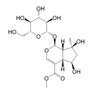 山栀苷甲酯