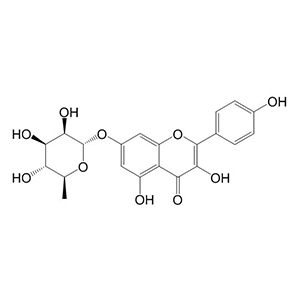 山柰酚-7-O-α-L-鼠李糖苷