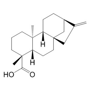 贝壳杉烯酸