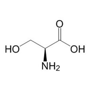 丝氨酸