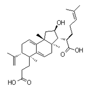 茯苓酸B