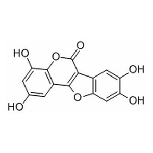 王不留行黄酮苷