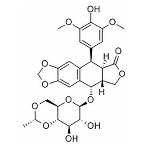 依托泊苷