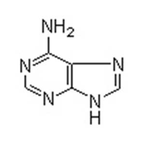 腺嘌呤