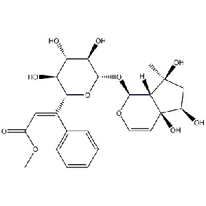 6-O-肉桂酰基哈巴苷