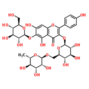 6-羟基山奈酚-3-O-芸香糖-6-O-葡萄糖苷