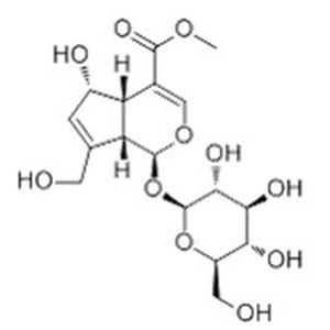 去乙酰车叶草酸甲酯