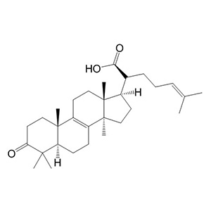 β-榄香酮酸