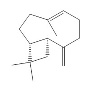 β-石竹烯